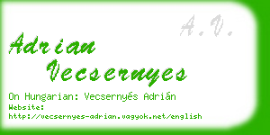 adrian vecsernyes business card