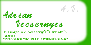 adrian vecsernyes business card